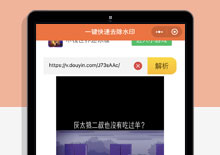 短视频去水印微信小程序源码美化修复版