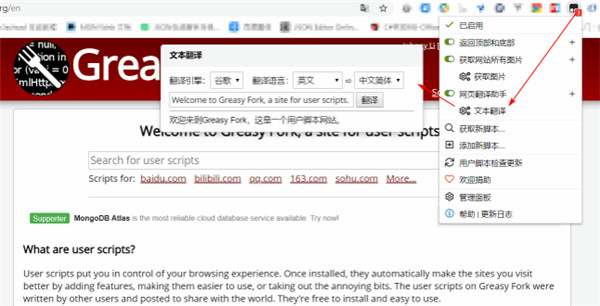 网页翻译助手油猴脚本v1.2.9下载